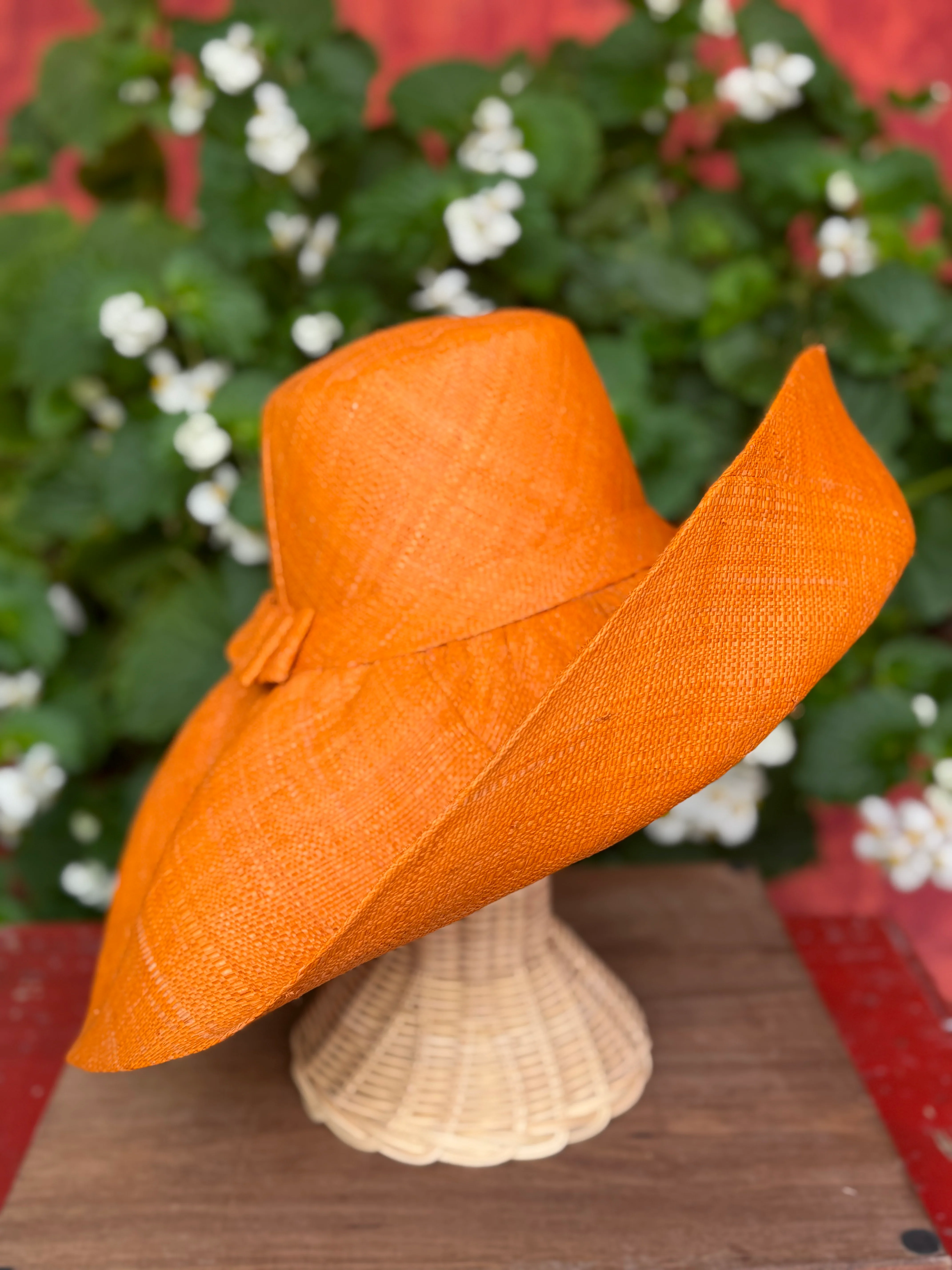 Pamela naranja - Image 3