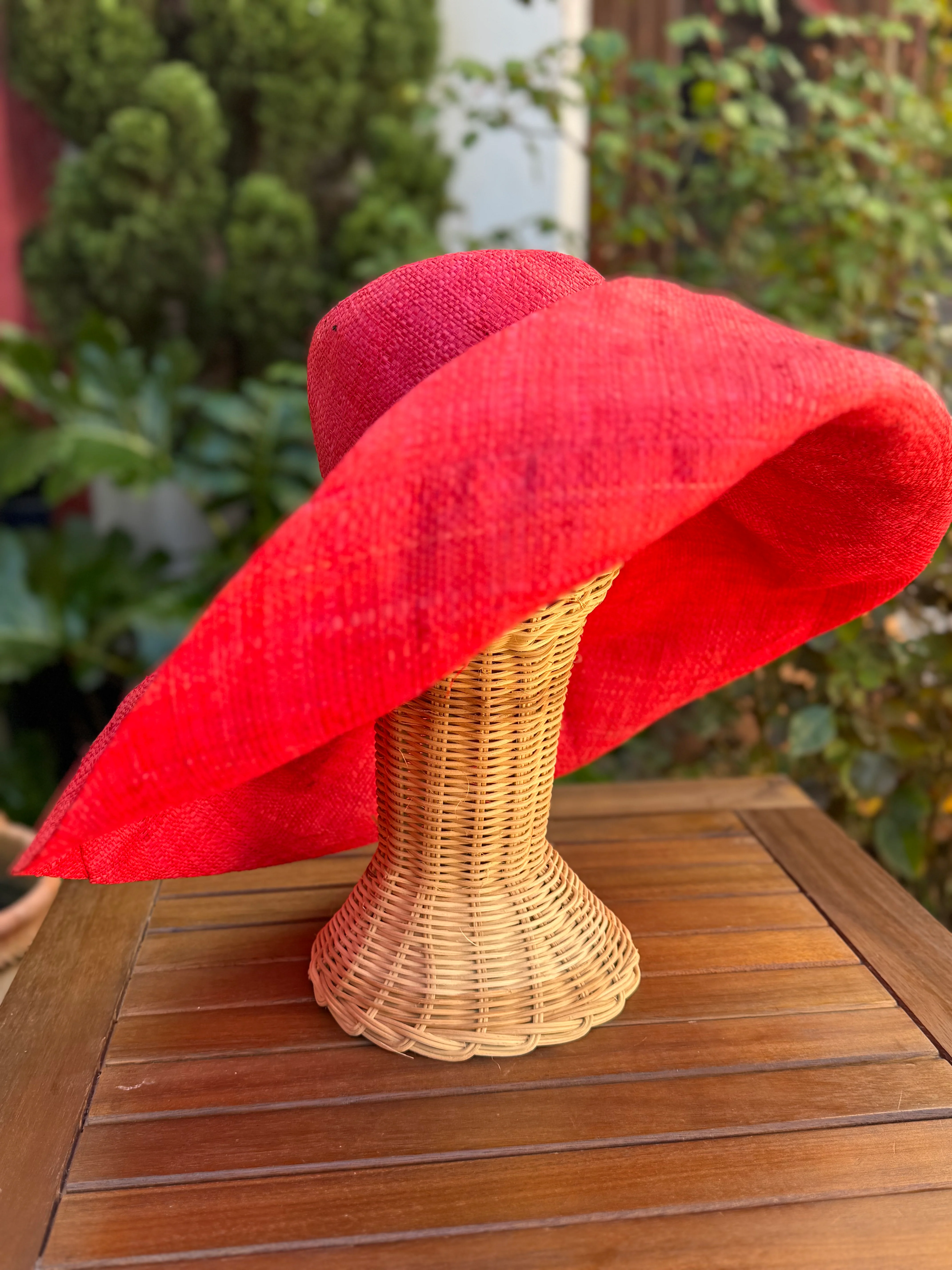 Pamela quisquilla - Image 3
